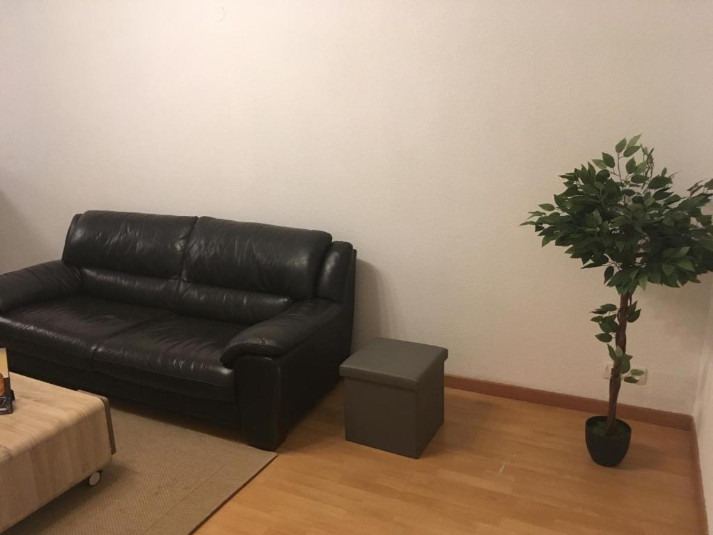 Le gîte du château du Fleckenstein - Photo 19