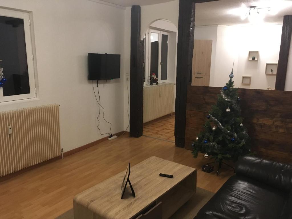 Le gîte du château du Fleckenstein - Photo 32