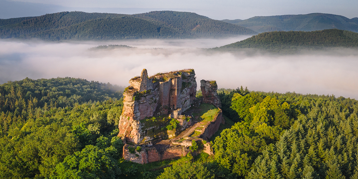 Le gîte du château du Fleckenstein - Photo 2