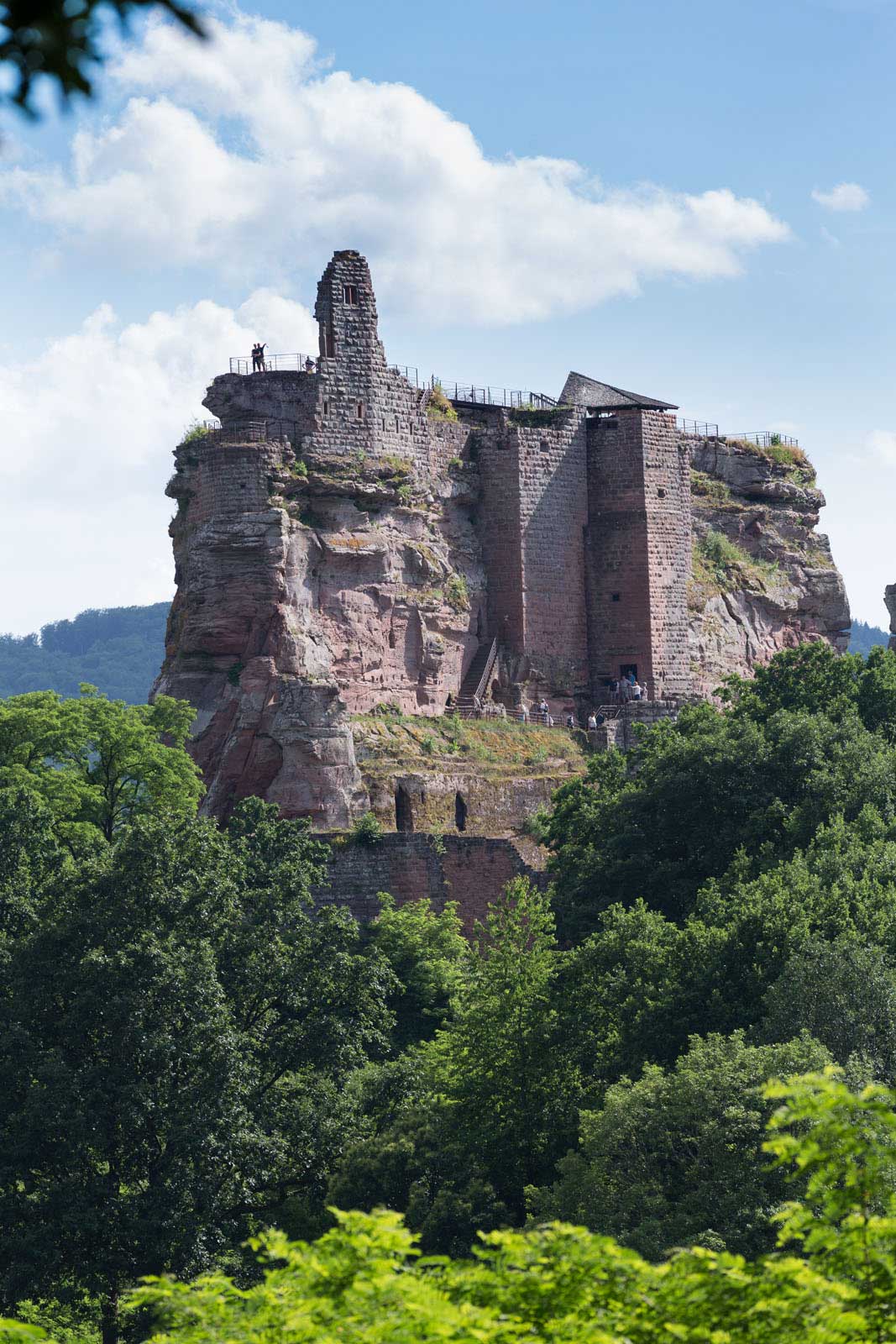 Le gîte du château du Fleckenstein - Photo 1